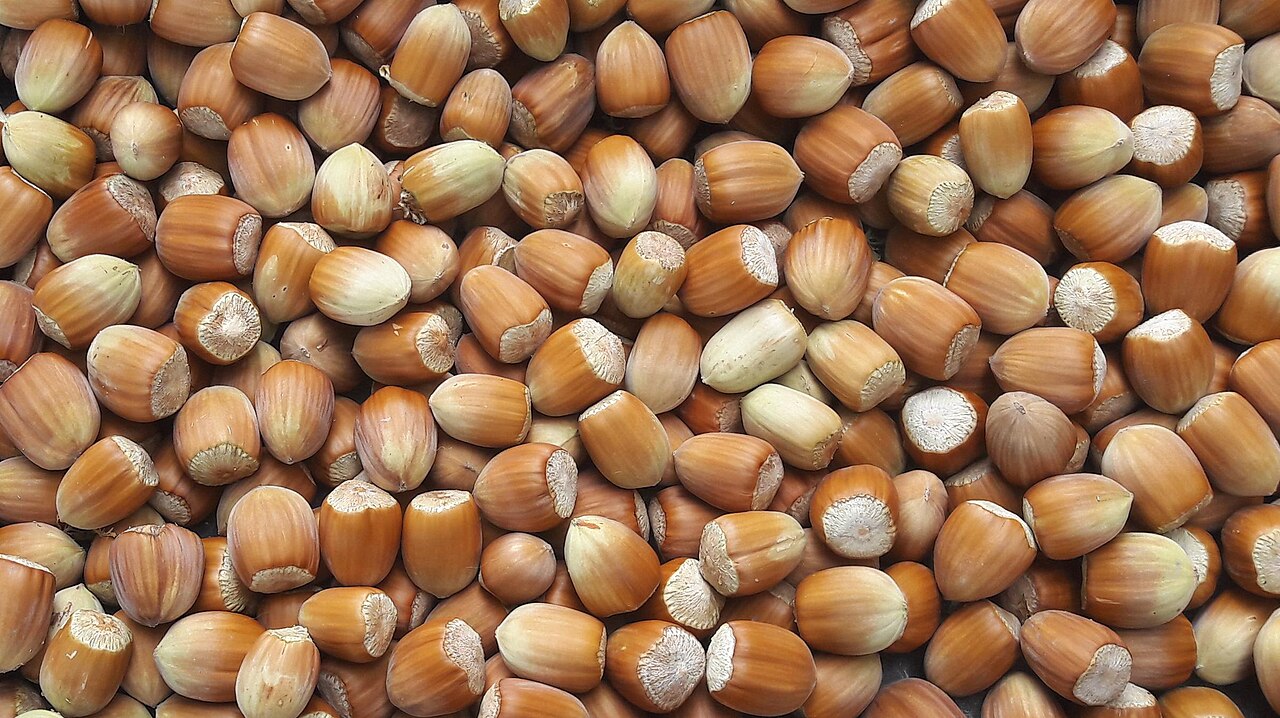 Fındığın Sağlığa 8 Faydası